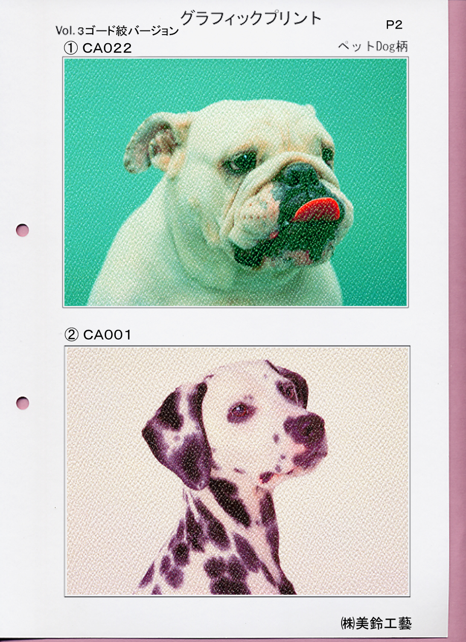 �@P2 �߯�Dog��