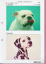 �@P2 �߯�Dog��